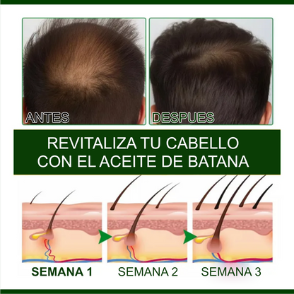 Shampo de Batana oil - Crecimiento y Reparación Capilar